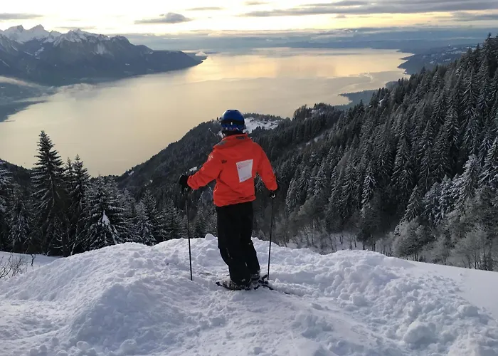 Boutique View And Terrace